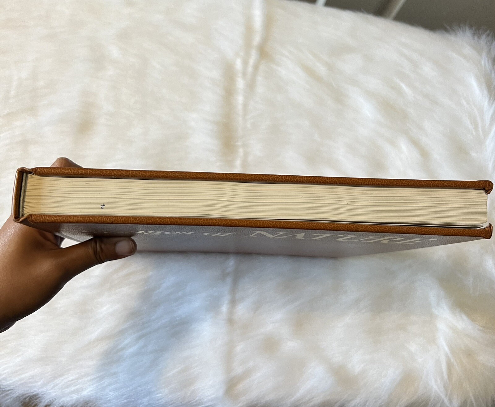 Rare -Special Edition 390/1000: Images of Nature – Signed by Thomas D. Mangelsen