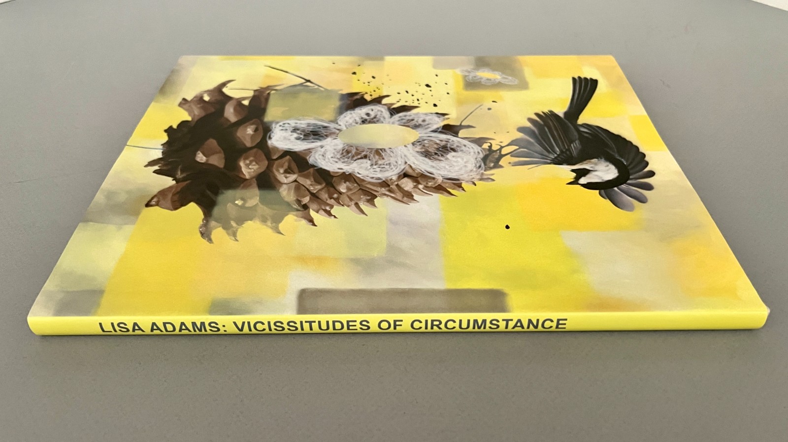 LISA ADAMS Vicissitude of Circumstance PHOTOGRAPHS SIGNED by Artist HCDJ 2011
