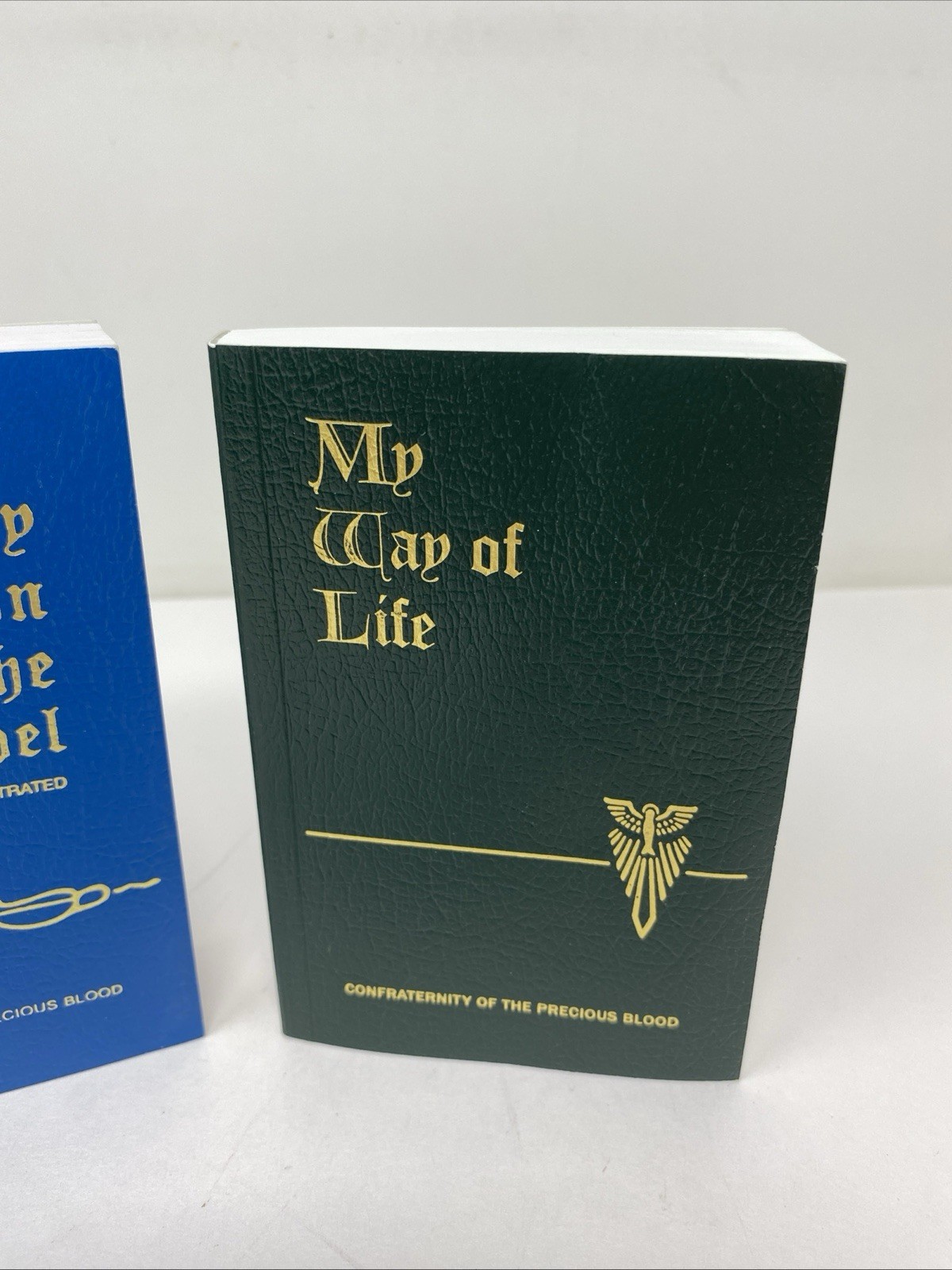 My Meditation on the Gospel & My Way of Life Confraternity FREE SHIPPING!