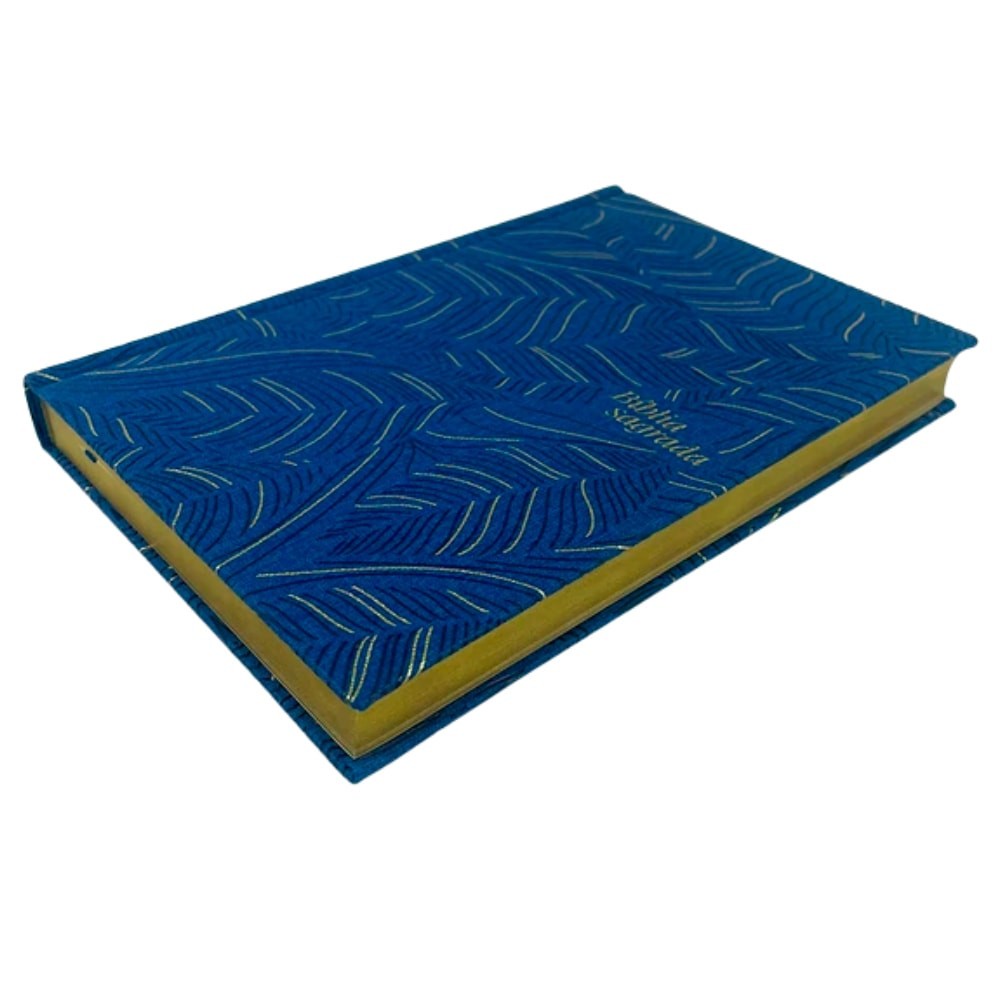 Biblia Sagrada: Abstrata – NVI – Encardenacao: Capa Dura – Letra: Grande