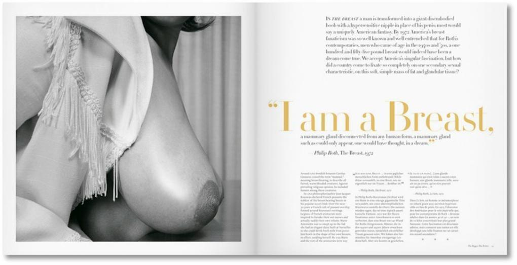 BIG BOOK OF BREASTS Dian Hanson MODERN AGE OF TOUCHABLE CURVES ~ TASCHEN HC