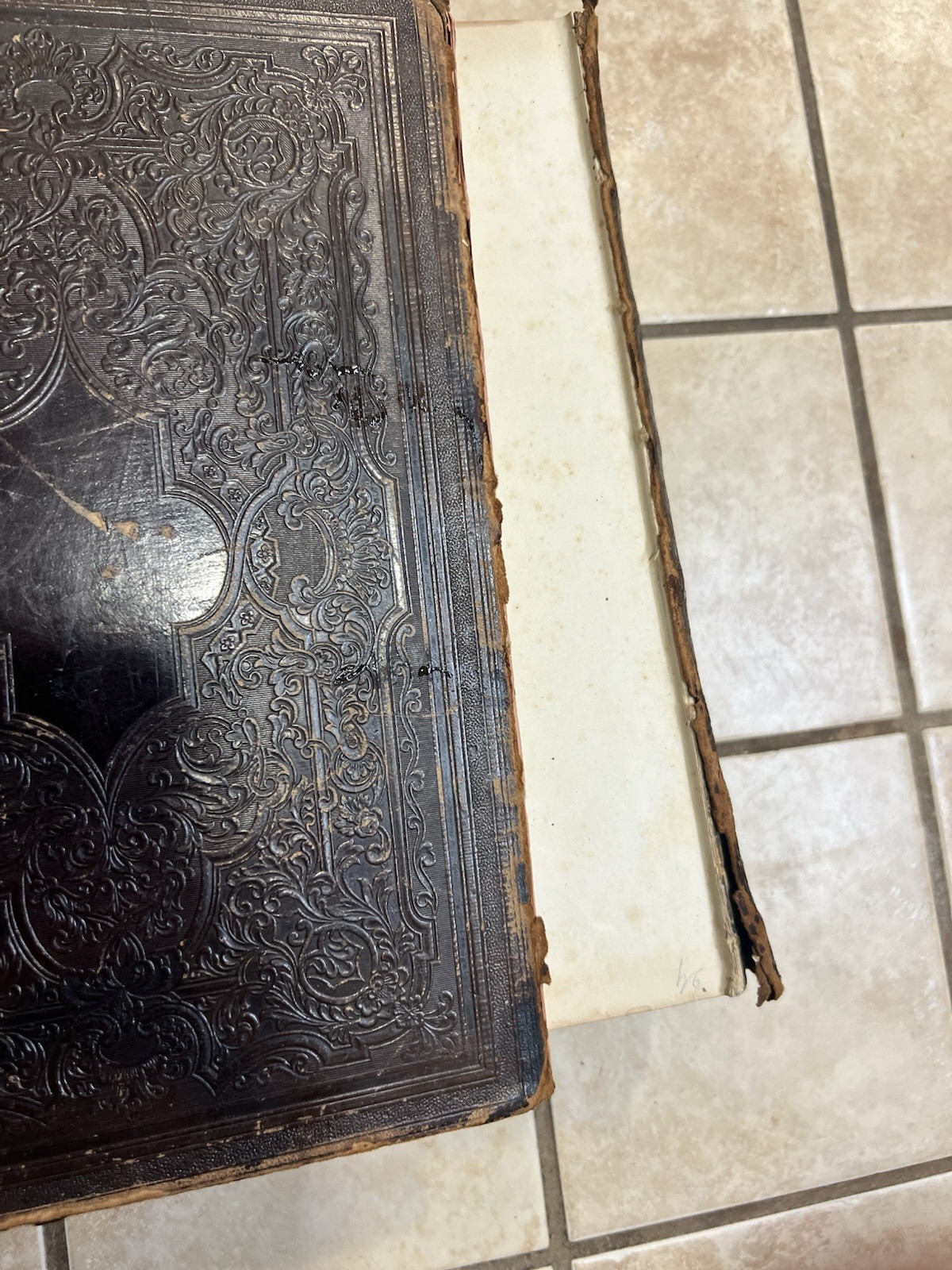 Holy Bible 1867 Old And New Testiment Leather