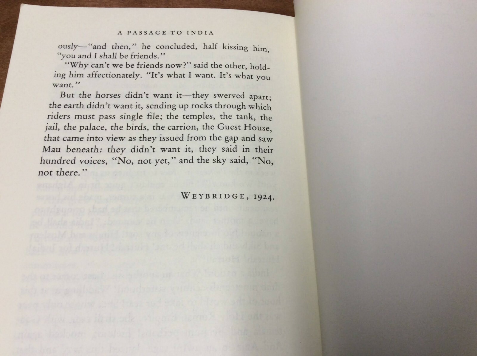 A Passage to India by E.M. Forster ( 1984, Paperback) – Good