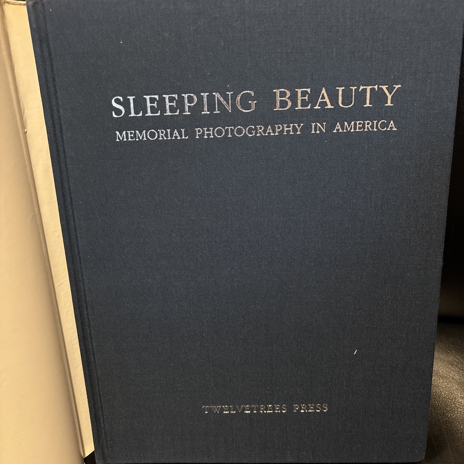 Sleeping Beauty Memorial Photography In America 1990 FIRST EDITION Stanley Burns