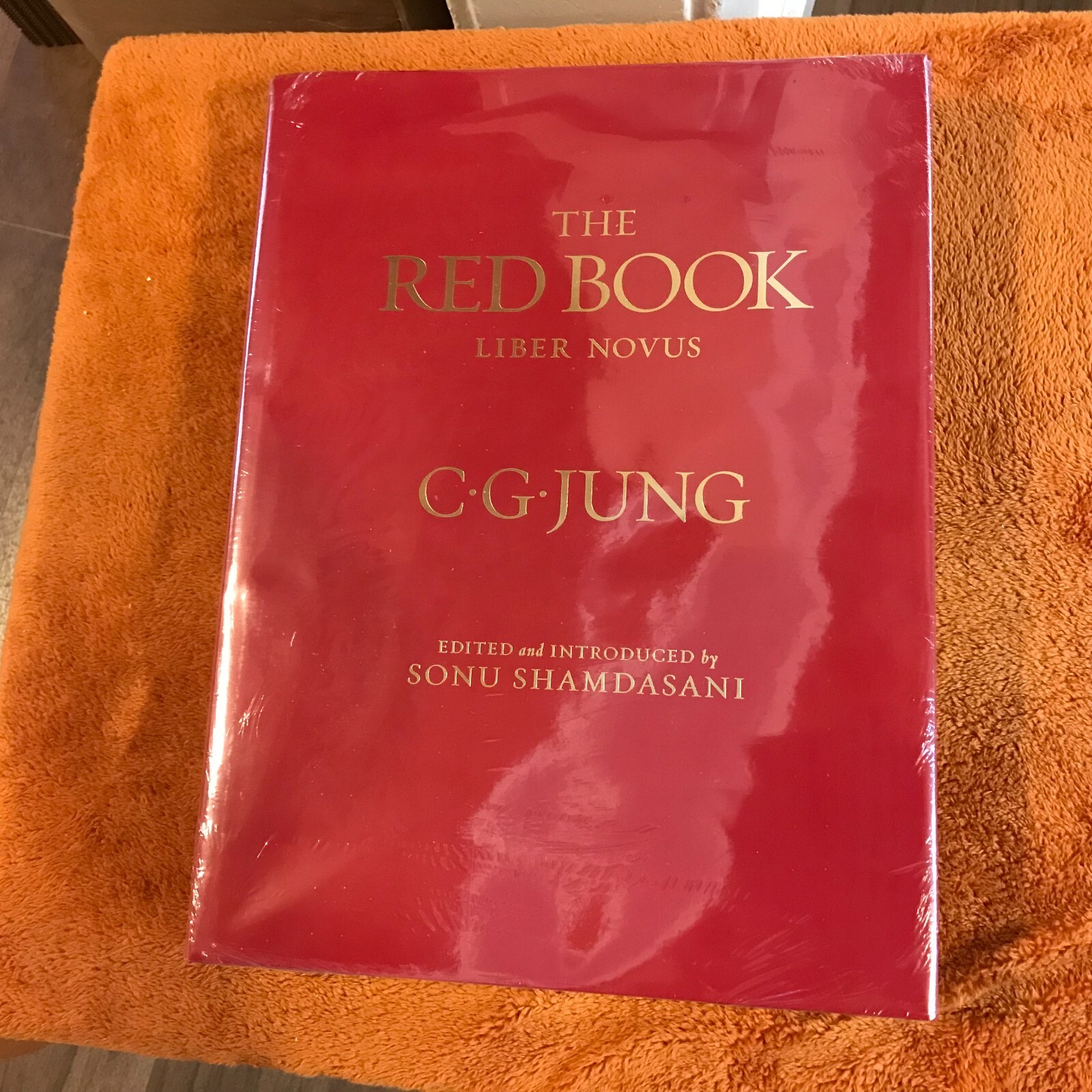 C.G. Carl Jung hardcover THE RED BOOK liber novus SEALED philemon ’09 illus eng!