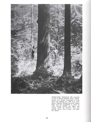1800s Early Logging Photos Stories & History – Reference w Lumber Axes Saws Etc