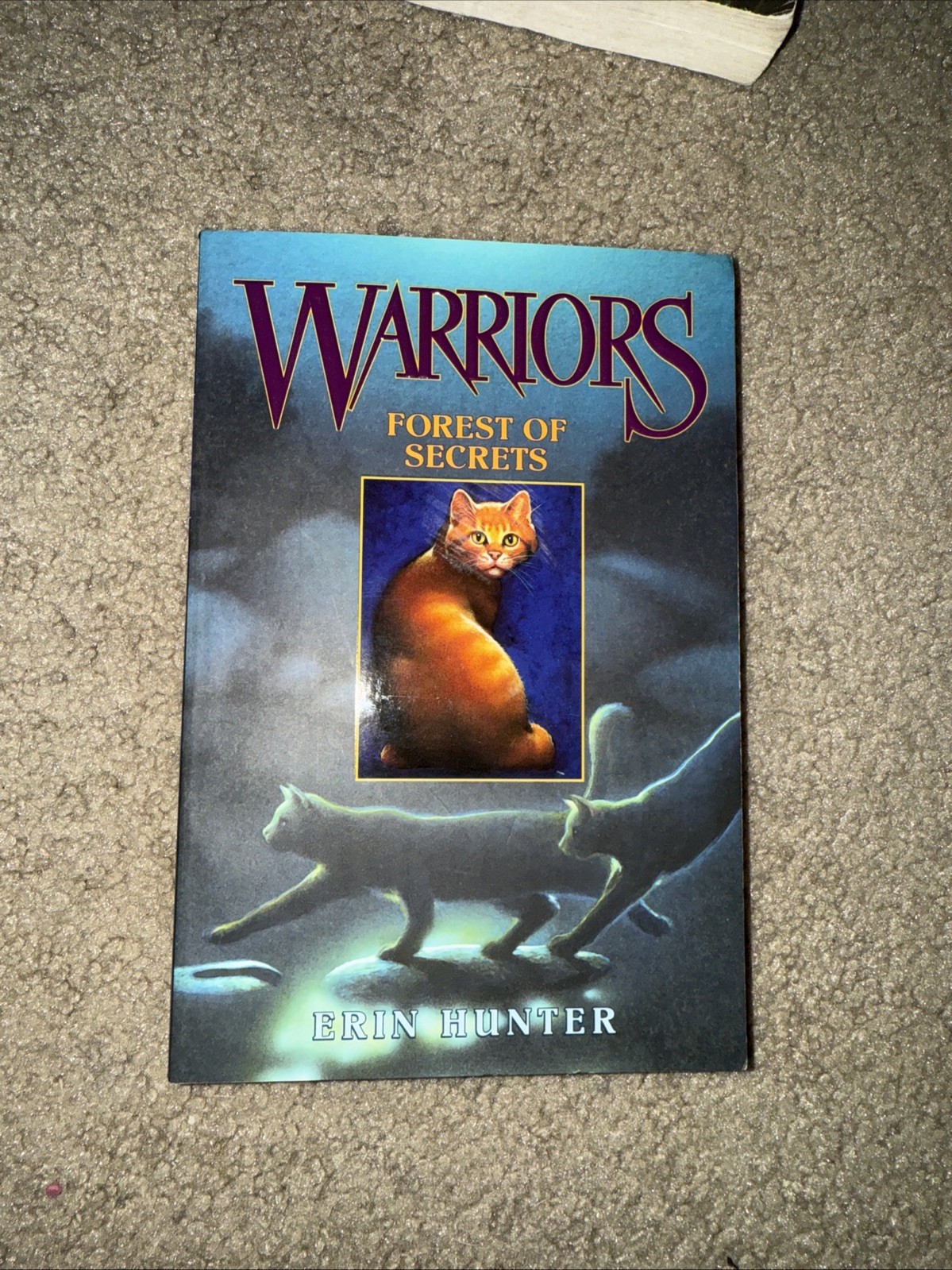 Erin Hunter Warriors Books Lot of 5 Paperback 1-5