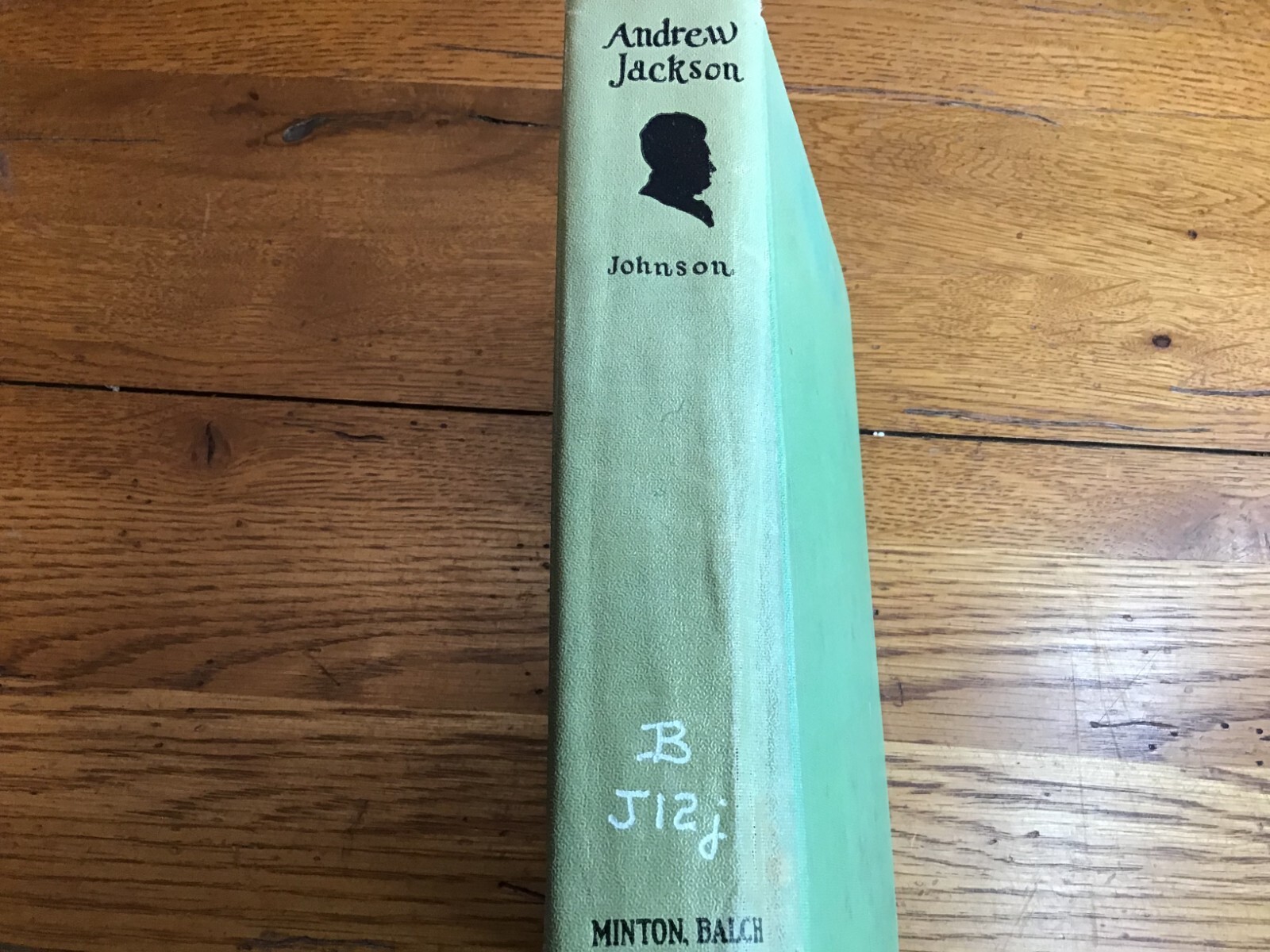Andrew Jackson, An Epic In Homespun By Gerald W. Johnson 1927 HC
