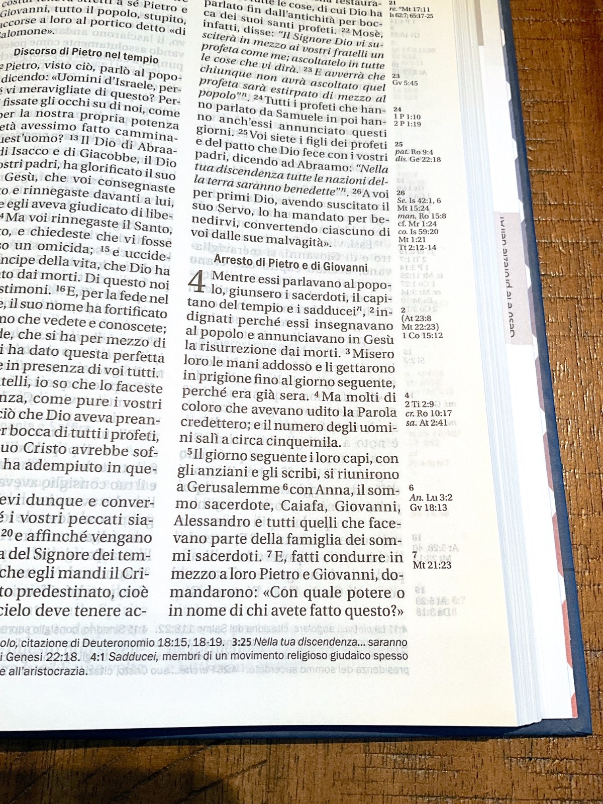 Italian Language Reference Bible, La Sacra Bibbia, NRV 2006, Blue Hardcover