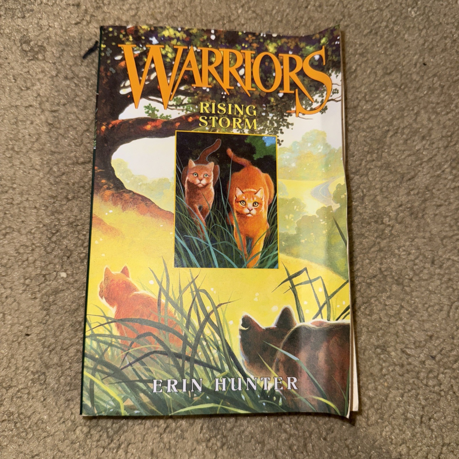 Erin Hunter Warriors Books Lot of 5 Paperback 1-5