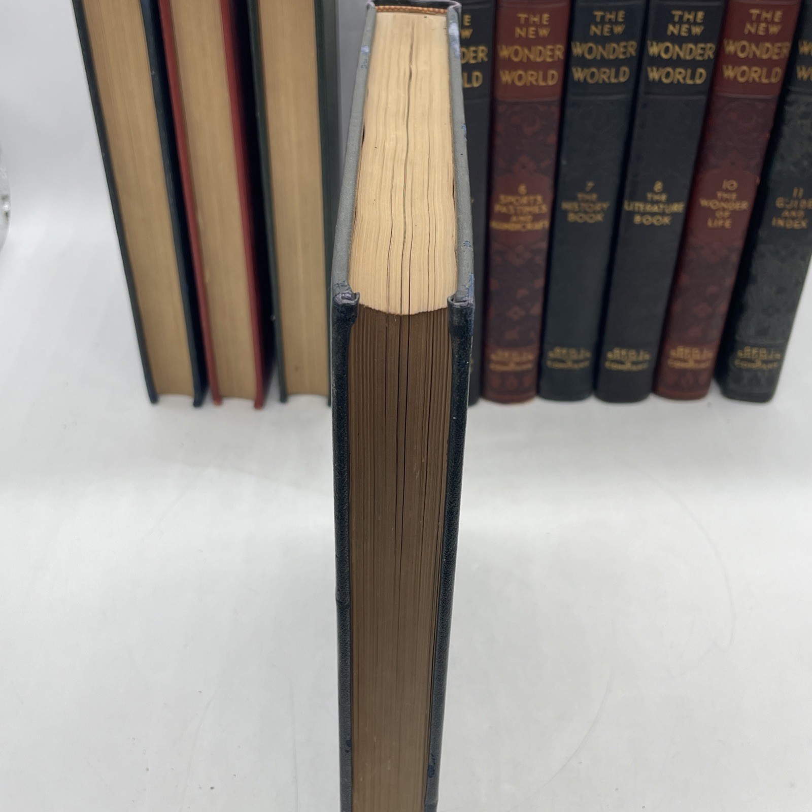 The New Wonder World Vol. 1-8 10&11 Set Geo. L. Shuman & Company Books