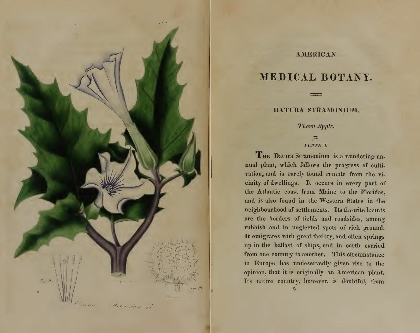 80 Books – Herbs Remedies – Herbal Herbalism Medicine Homeopathic Vintage CD/DVD