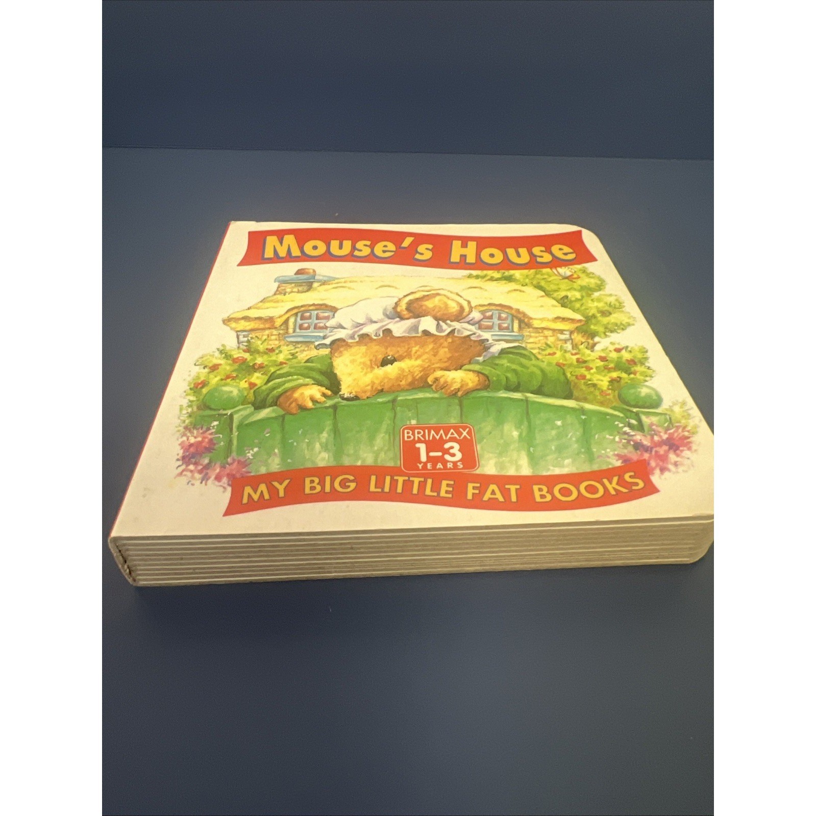 MOUSE’S HOUSE (BIG LITTLE FAT BOOKS) By Lorna Read & Roy Trower – Hardcover *VG*