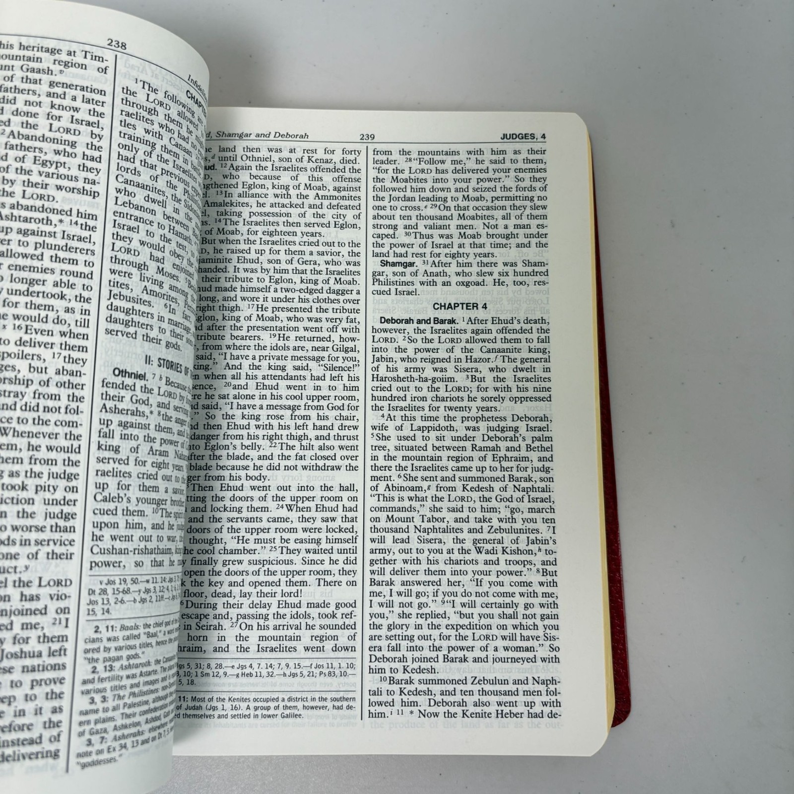 New American Bible Saint Joseph Edition Catholic Book Publishing Large Type