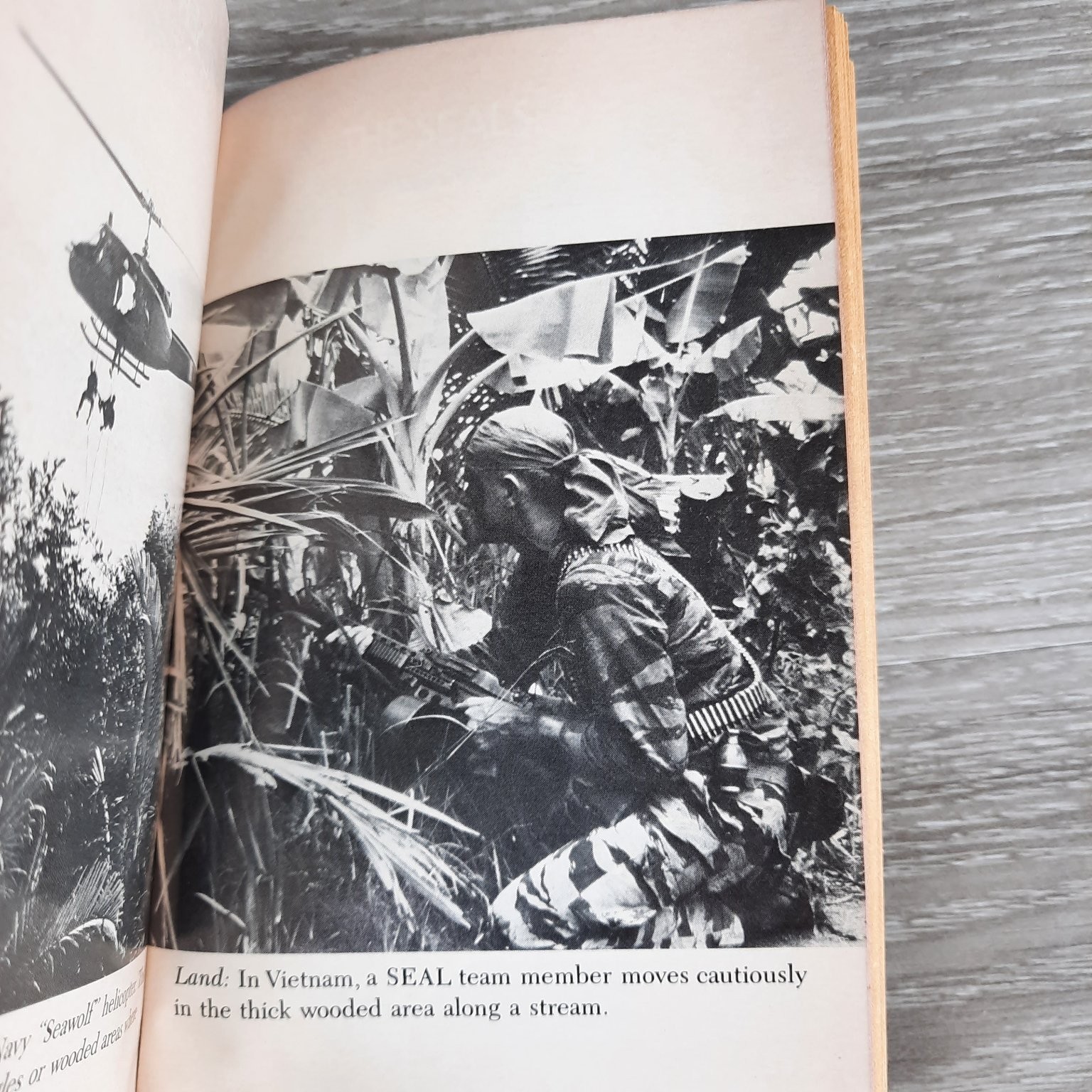 U.S. Navy SEALs Ian Padden 1985 First Edition Military History Bantam