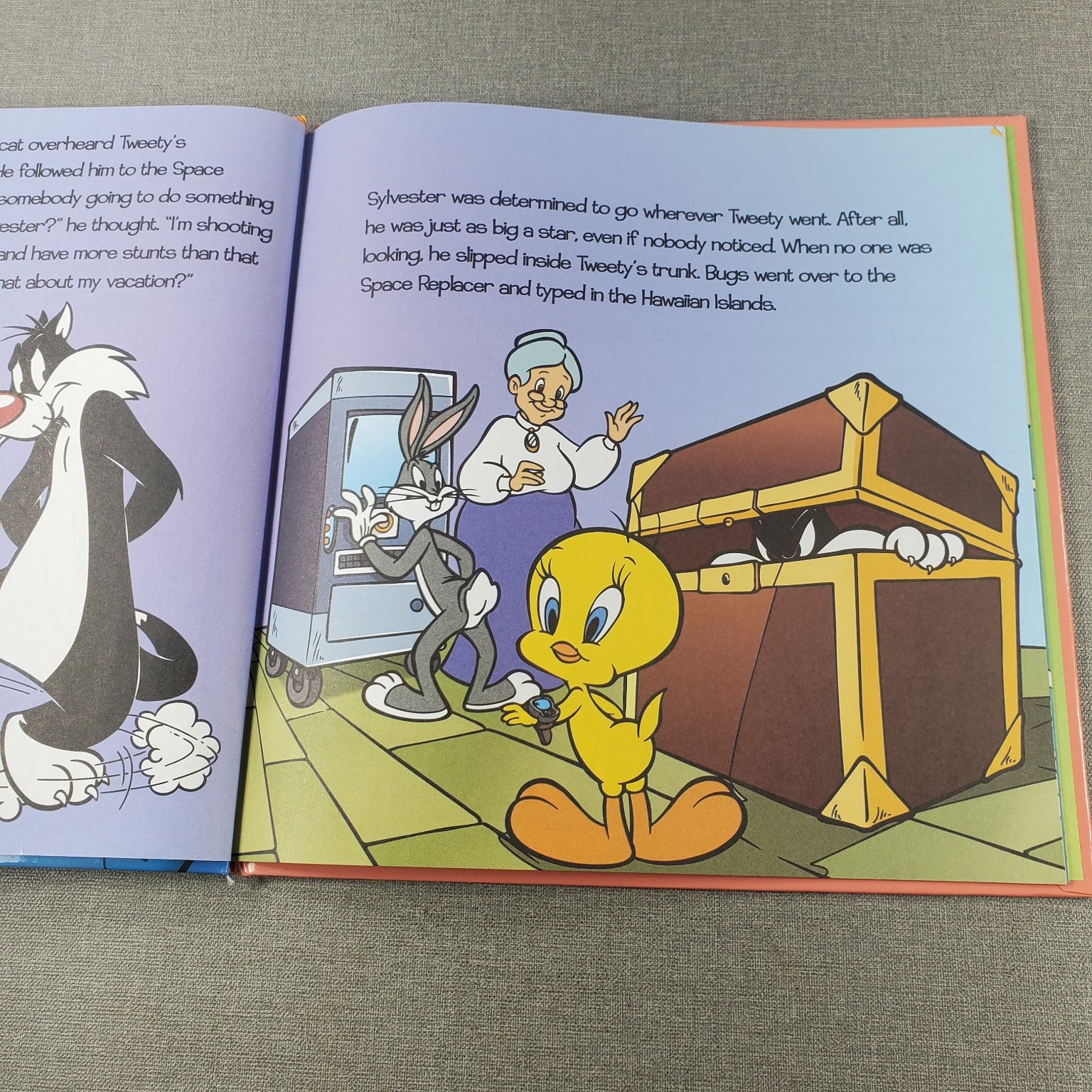 Surfer Cat Looney Tunes Storybook 2010 Vision St. Publishing Kids Book