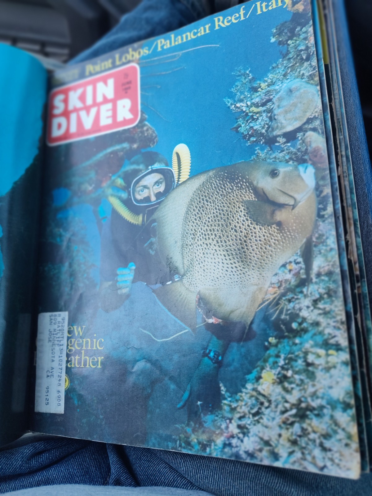 1969 Complete Set/Year of 12 Skin Diver Magazine In Official Binder Nice!!!