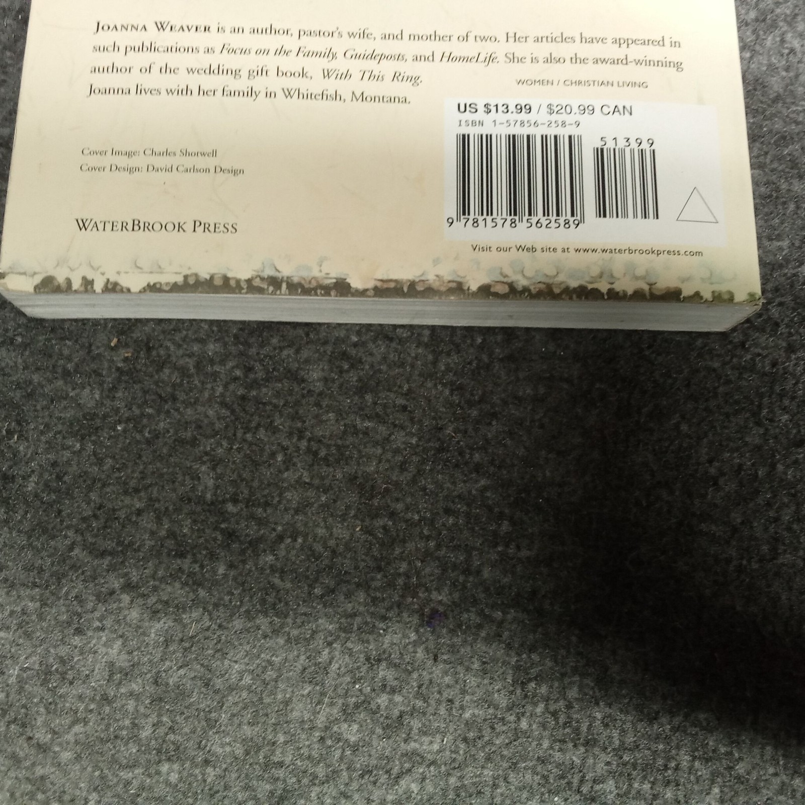 Having a Mary Heart in a Martha World Joanna Weaver Paperback Christian Living