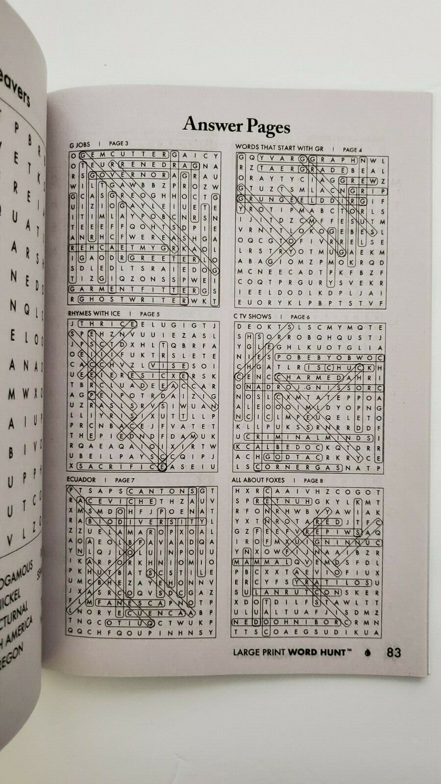Large Print Word Hunt Puzzle Books Papp Search,Find,Game,Hobby Pick up to 20Vols