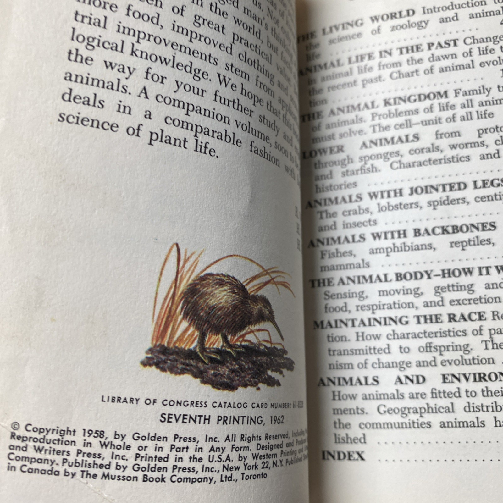 Lot Of 6 Vintage Golden Nature Guides-Small Booklets-Insets pest stars rock ETC