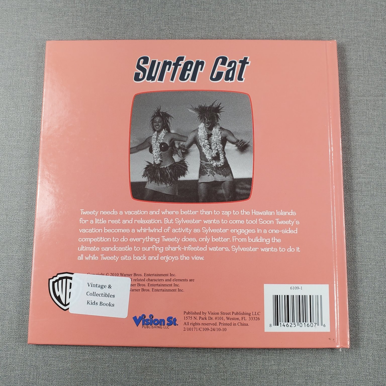 Surfer Cat Looney Tunes Storybook 2010 Vision St. Publishing Kids Book
