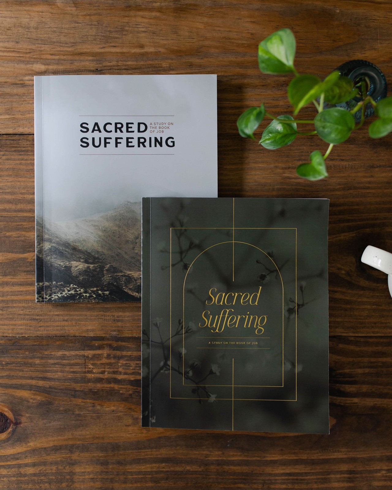 The Daily Grace Co Sacred Suffering | A Study on the Book of Job – Men
