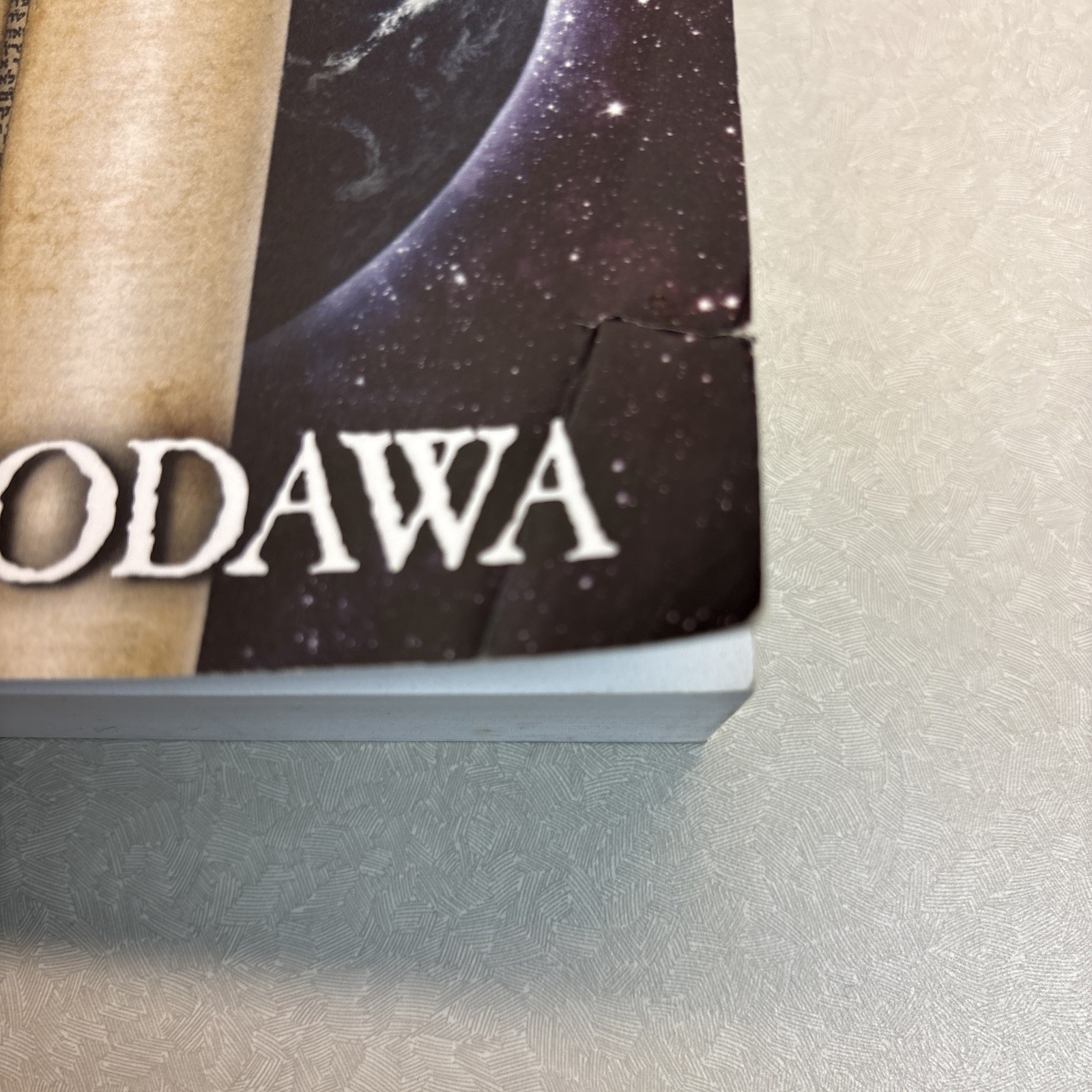 Remnant : Rescue of the Elect by Brian Godawa (2016, Trade Paperback)