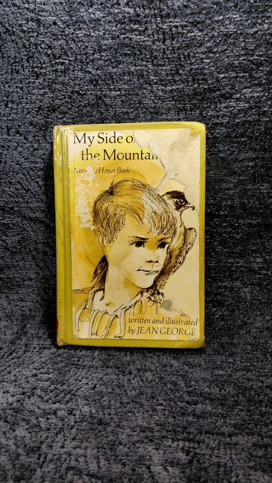 VTG RARE 1959-1975 MY SIDE OF THE MOUNTAIN By Jean Craighead George – Hardcover