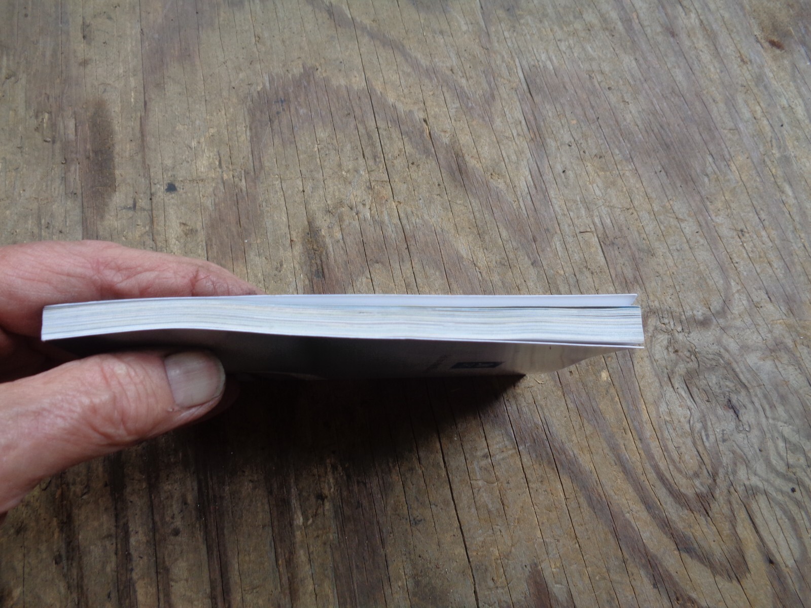 „WHAT DOES THE BIBLE REALLY TEACH?“. 2016. 223 pages. Paperback. Watchtower