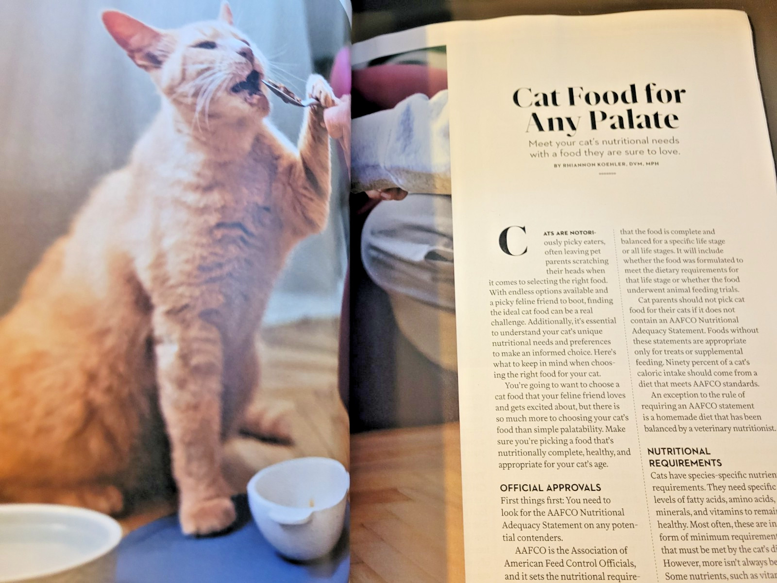 A Cat’s Life – A Special Edition by Paw Print – Inside Their Secret World
