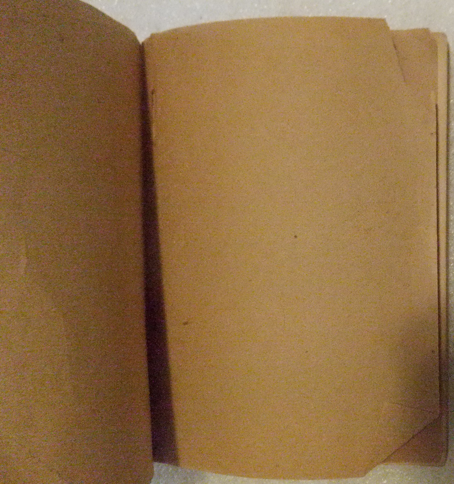 Mr. Durant of Salt Lake City: „That Mormon“./ FAIR 1905 Softcover. 221 pages.