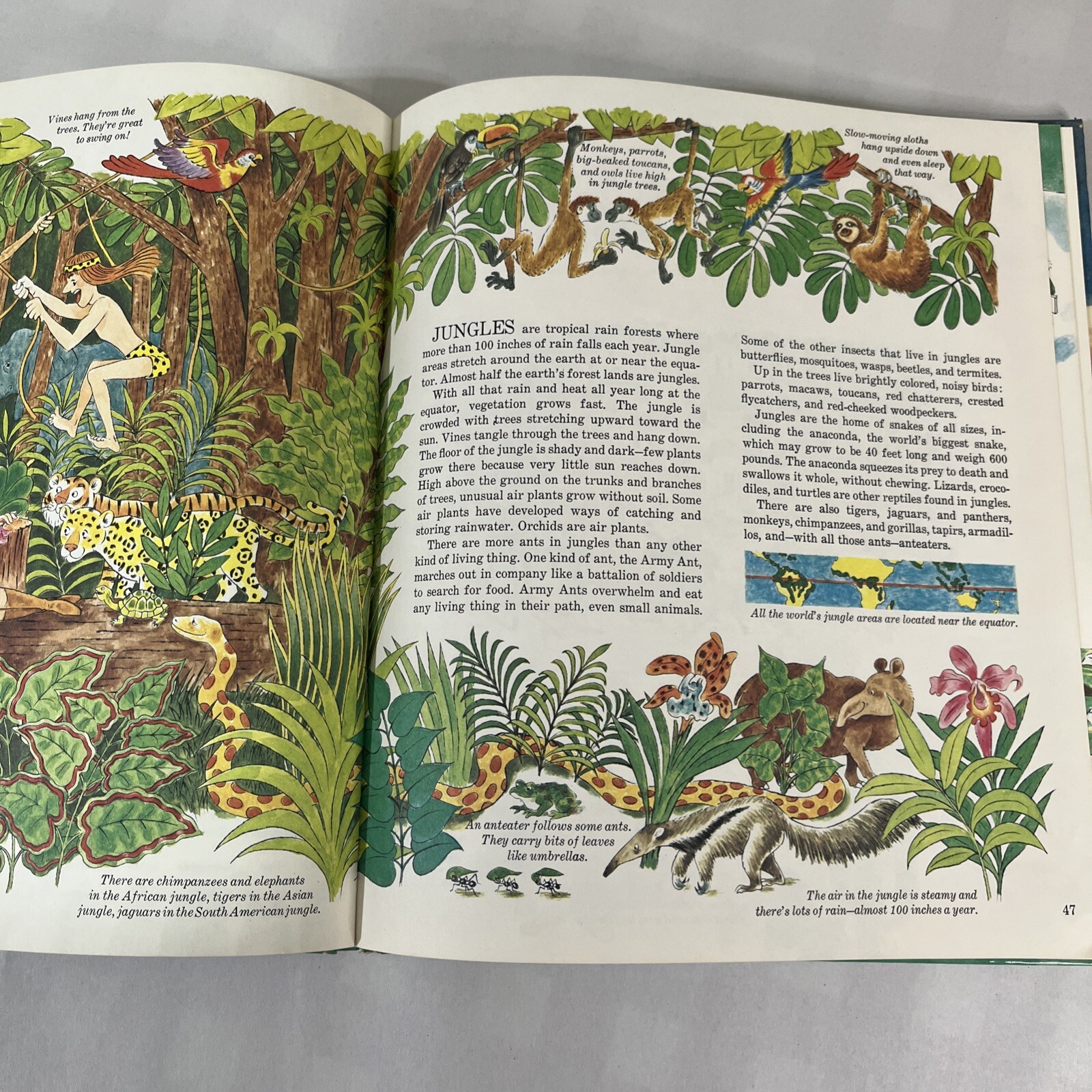 Vintage Hardcover Books Lot of 3 Austrailian Golden Book Sky Hills Earth 1970s