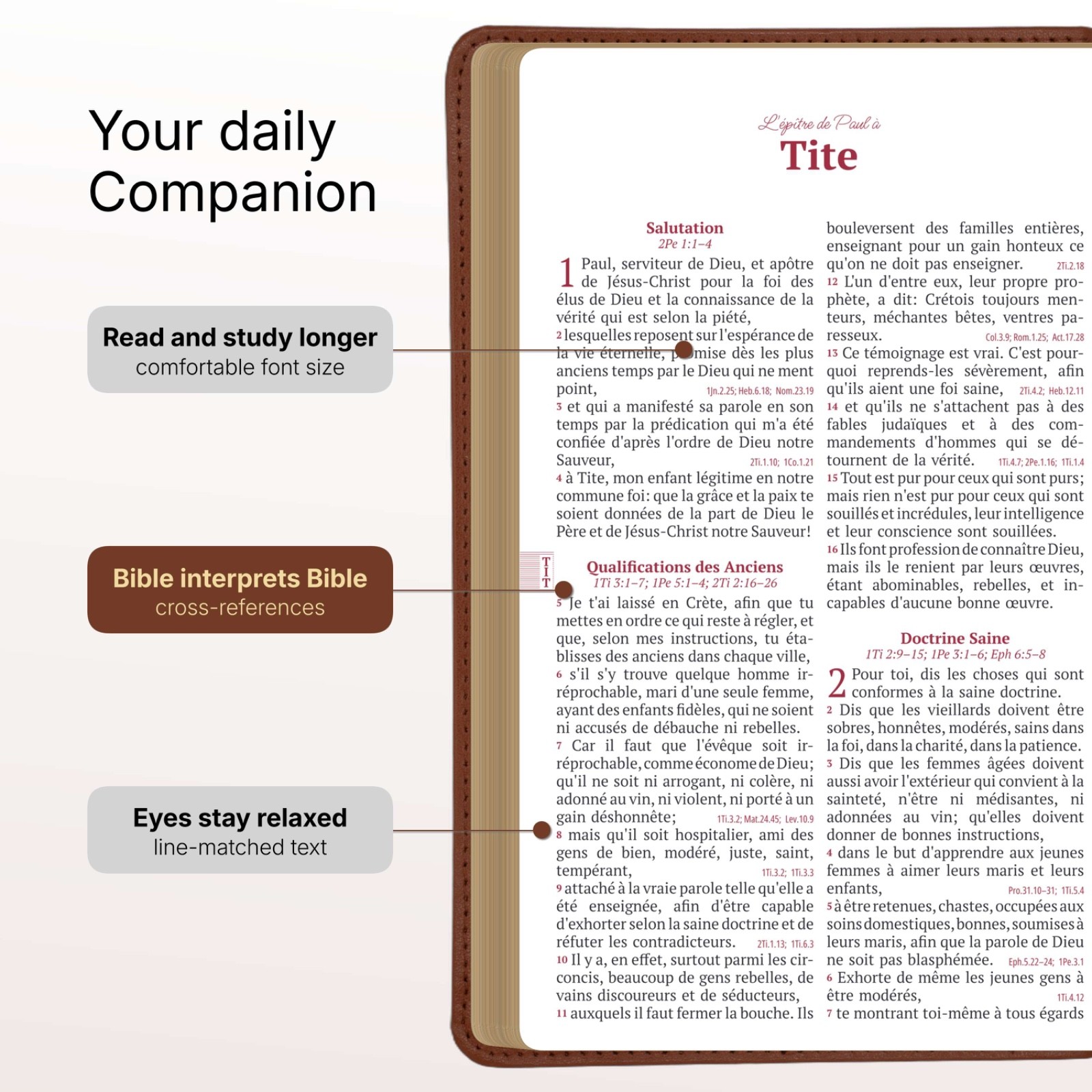 Louis Segond French Bible Medium Print – Compact LSG Bible Marron by SP