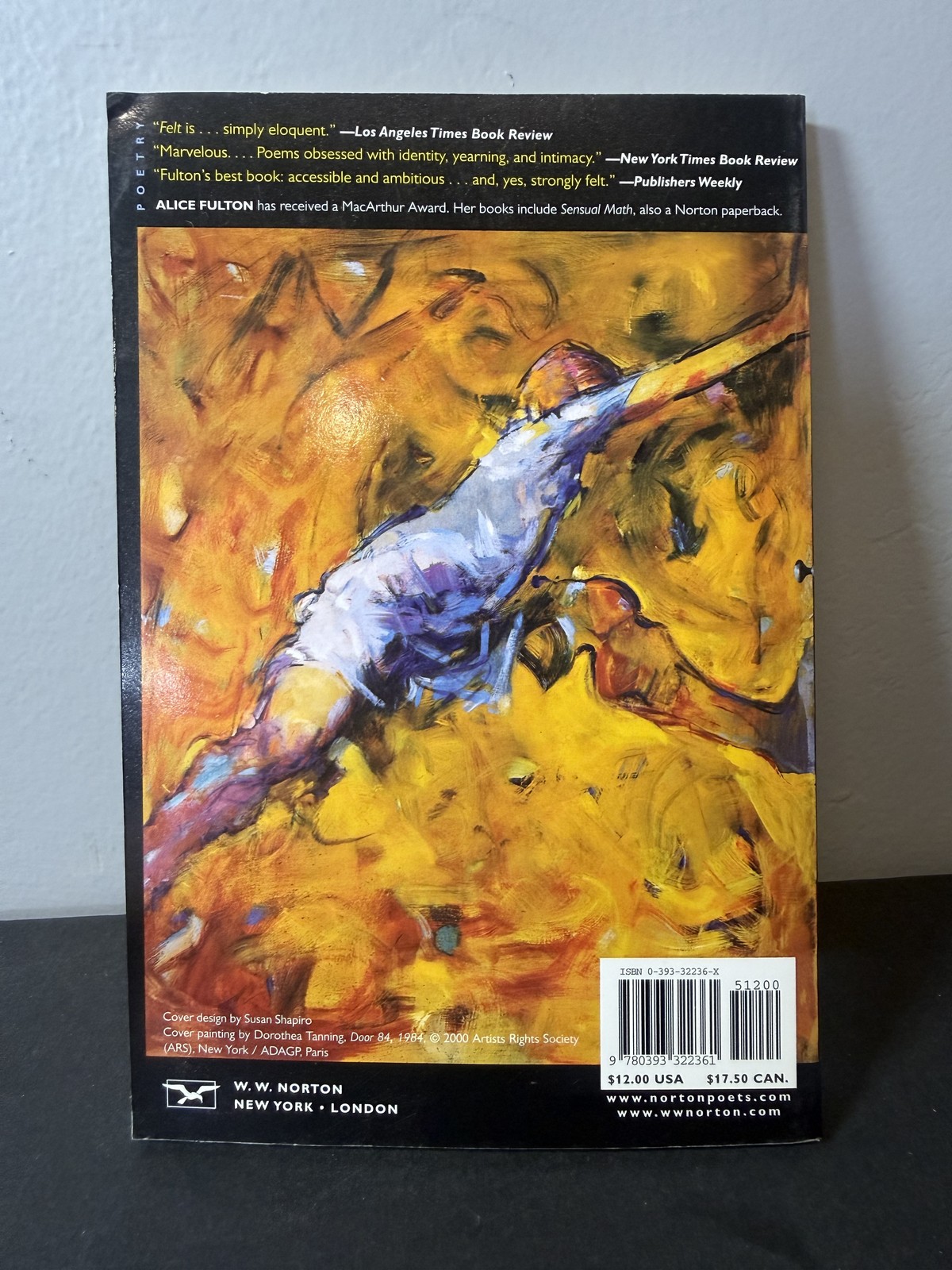 Felt Poems by Alice Fulton First Edition 2001 W. W. Norton Paperback Poetry Book