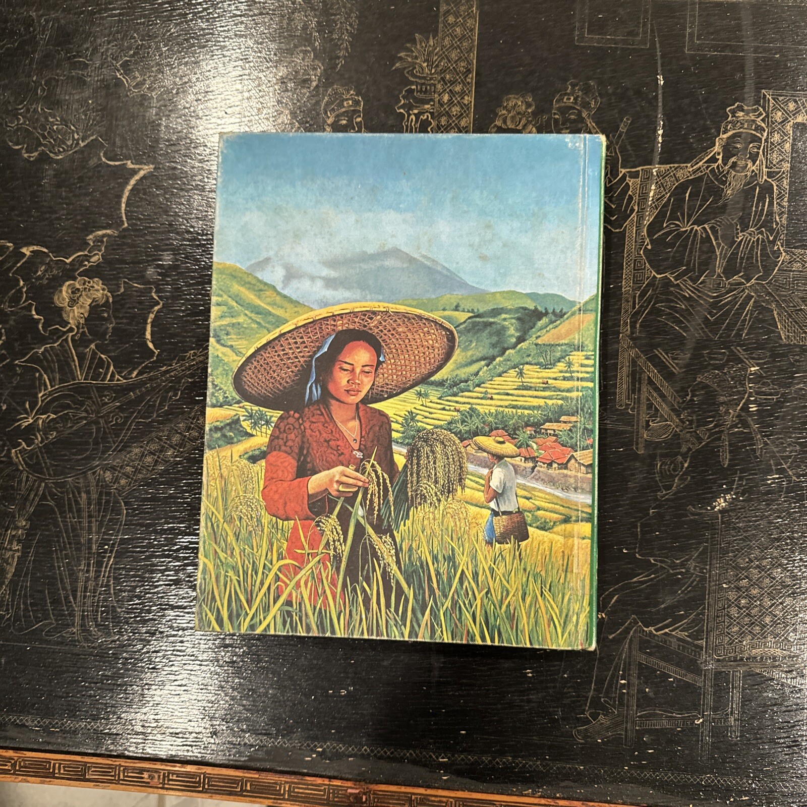 Southeast Asia Hardcover 1963 by William A Withington (Author)
