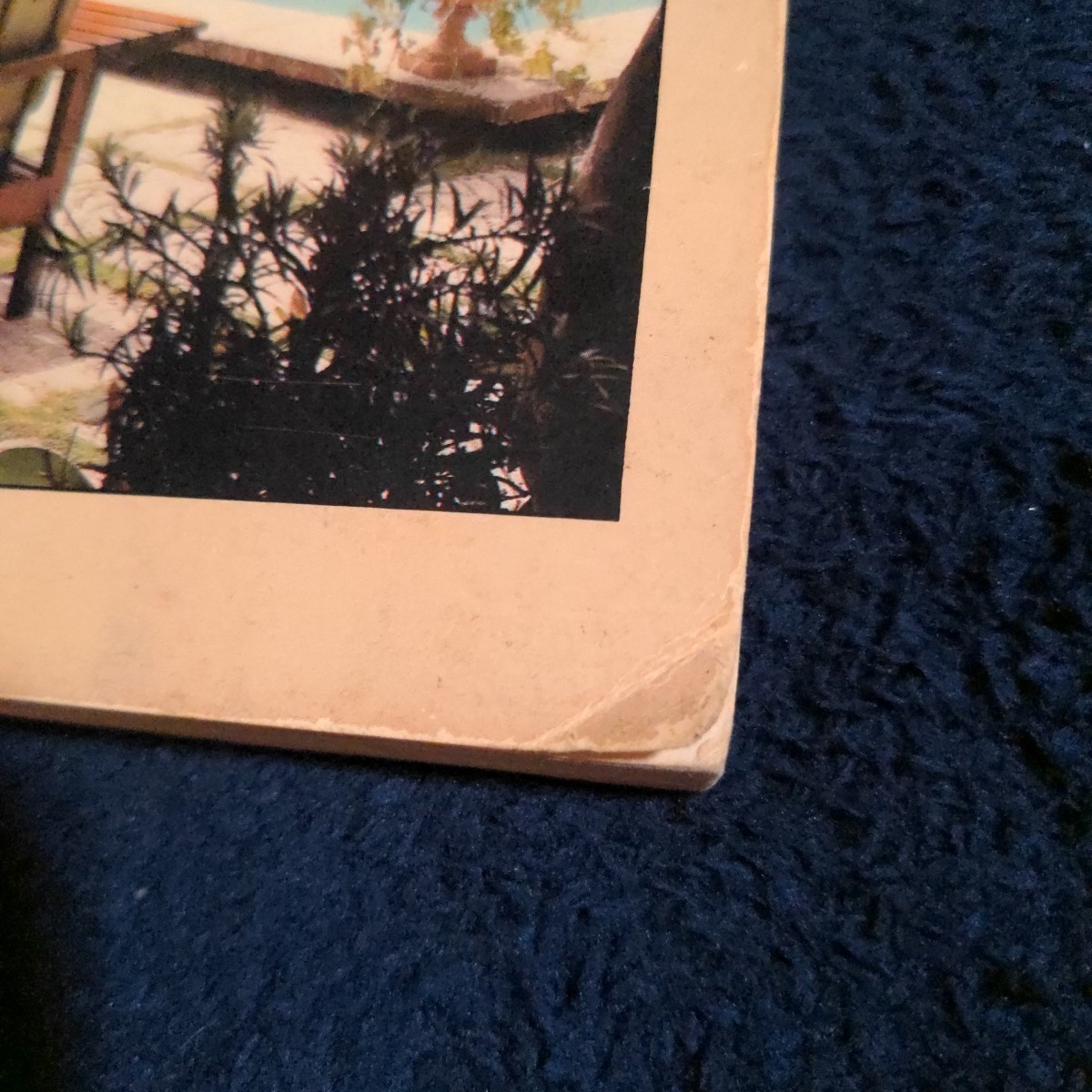 Swimming Pools: A Homeowner’s Bible by Peter Jones – Vintage Guide 1st Ed 1982