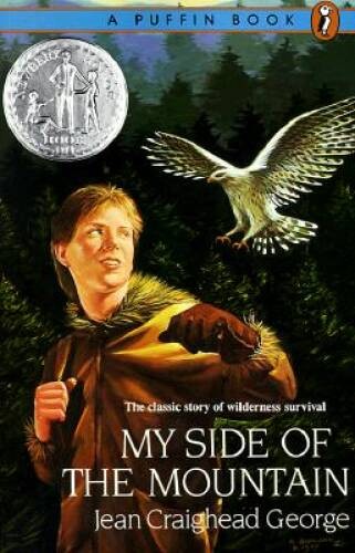 My Side of the Mountain – Paperback By George, Jean Craighead – ACCEPTABLE