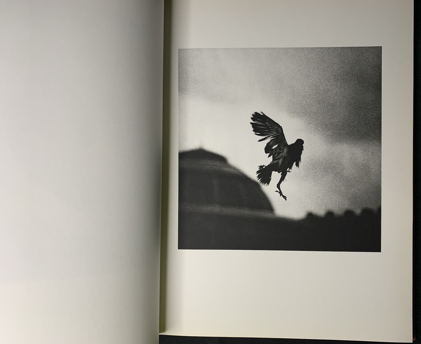 Matt Mahurin SIGNED 1989 Photography 1st Ed Dark Surrealism Nirvana Twelvetrees