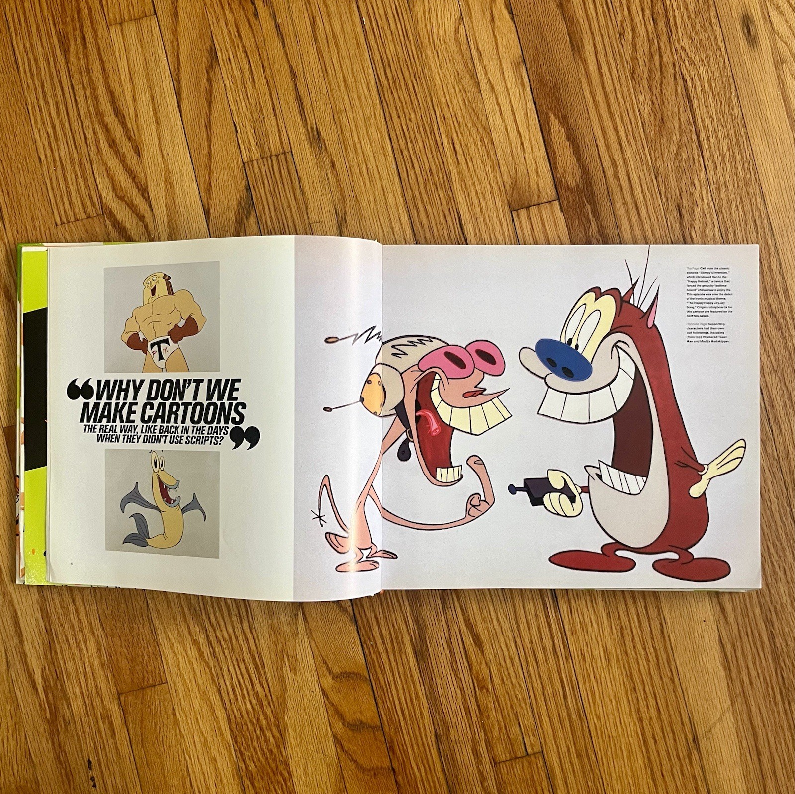 Nicktoons! by Jerry Beck 2007 Hardcover Nickelodeon Cartoon Art Design Drawing
