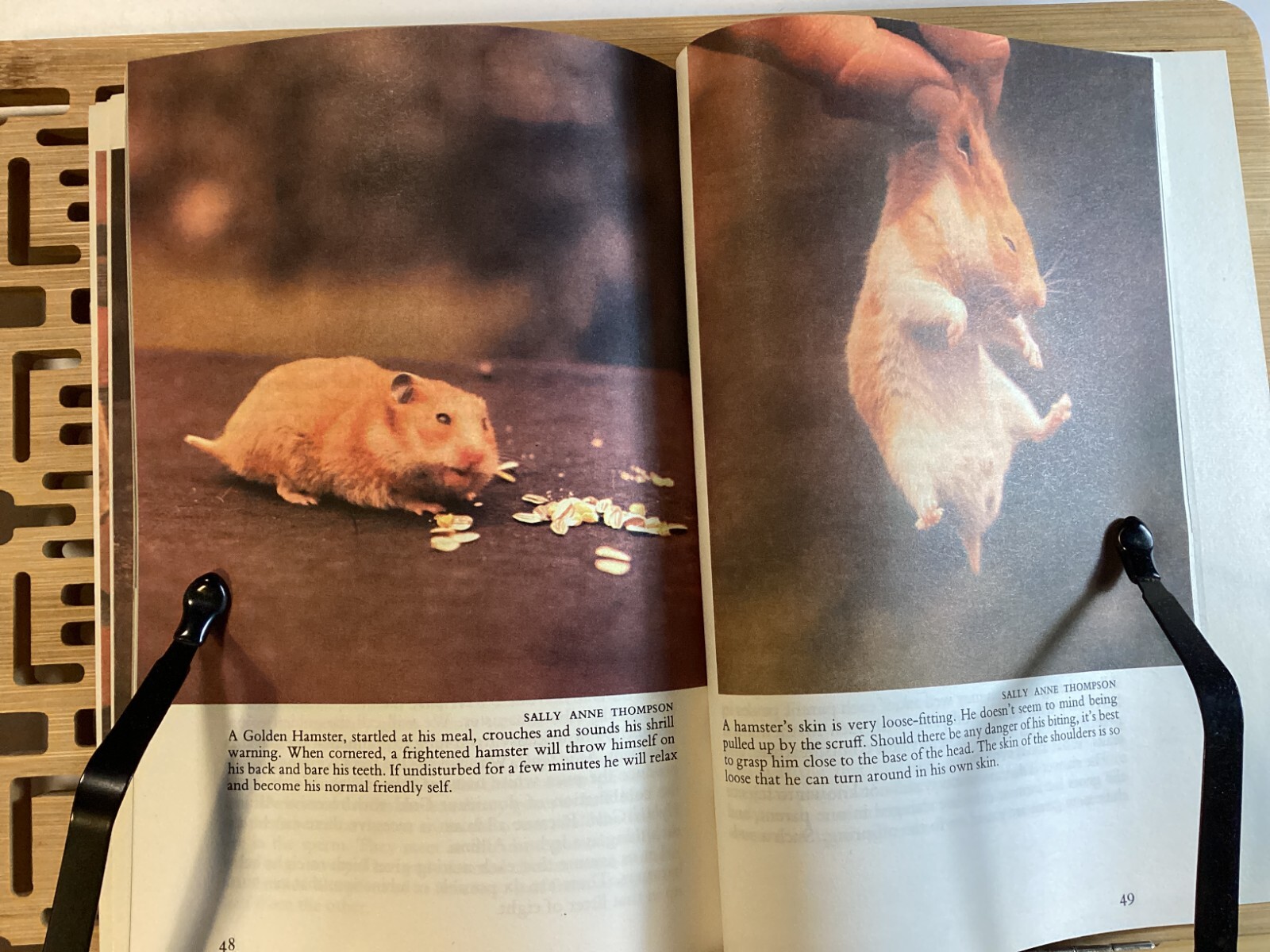 Know Your Hamster – Earl Schneider – 64 Pages -Pet Library No 754 -Free Shipping