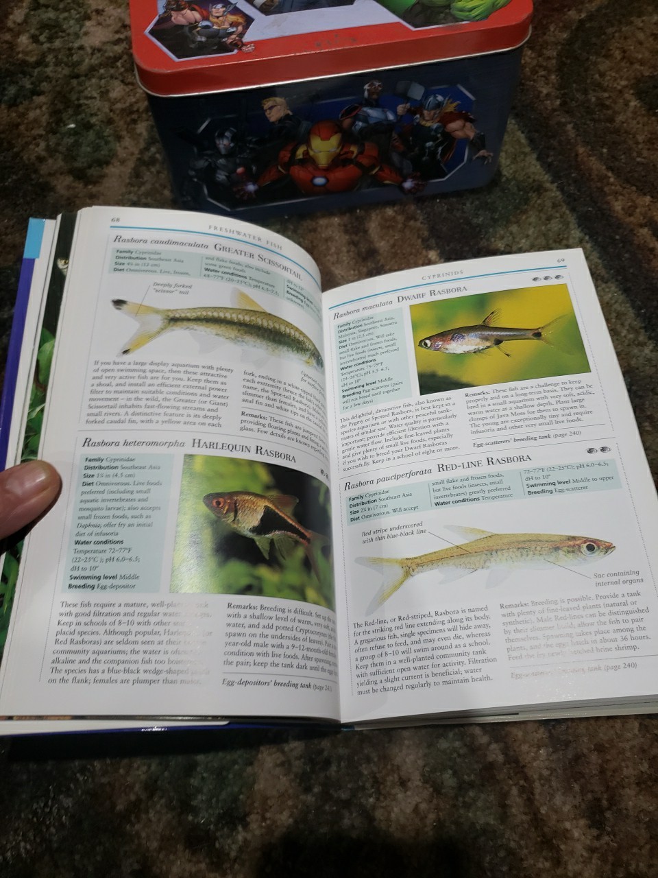 Aquarium Owner’s Manual by Gina Sanford (2003, Trade Paperback)