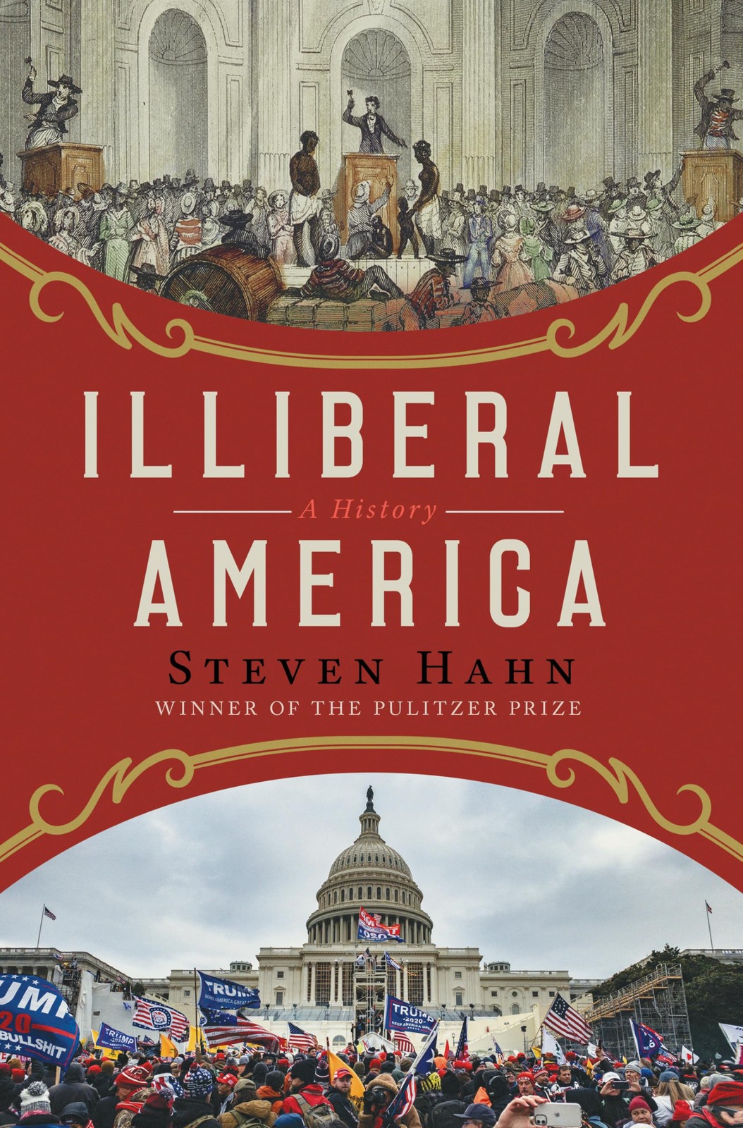 Illiberal America: A History, Hahn, Steven, Excellent Book