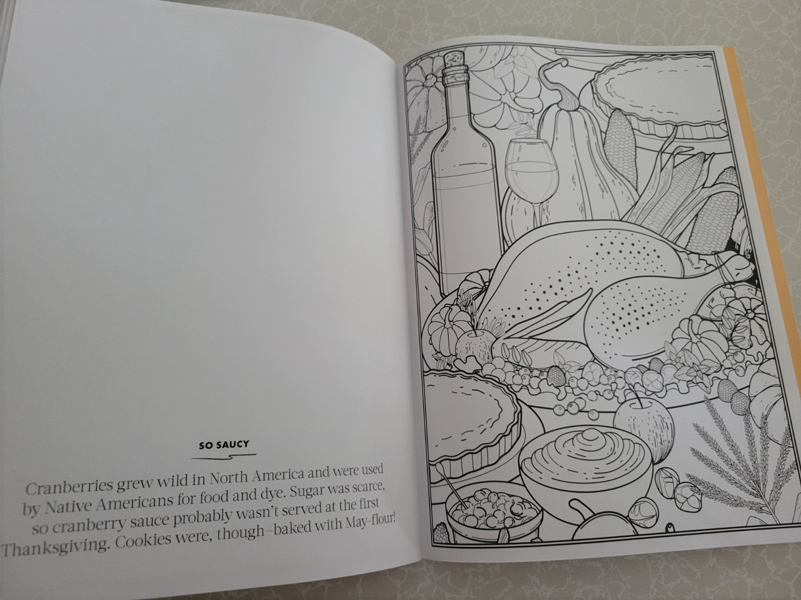 THANKSGIVING ADULT COLORING BOOK – 2022 CENTENNIAL – 32 FESTIVE COLORING PAGES