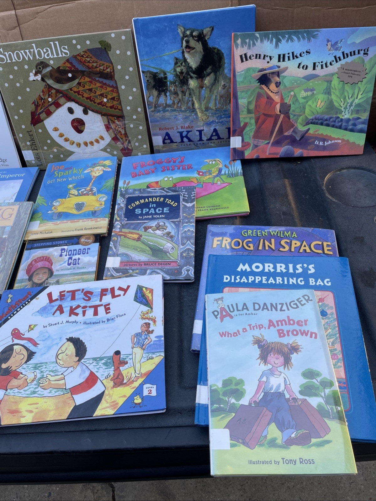 25 AR Accelerated Reader Titles – Reading Levels 2.1-2.9 Labeled & Ready!(4)