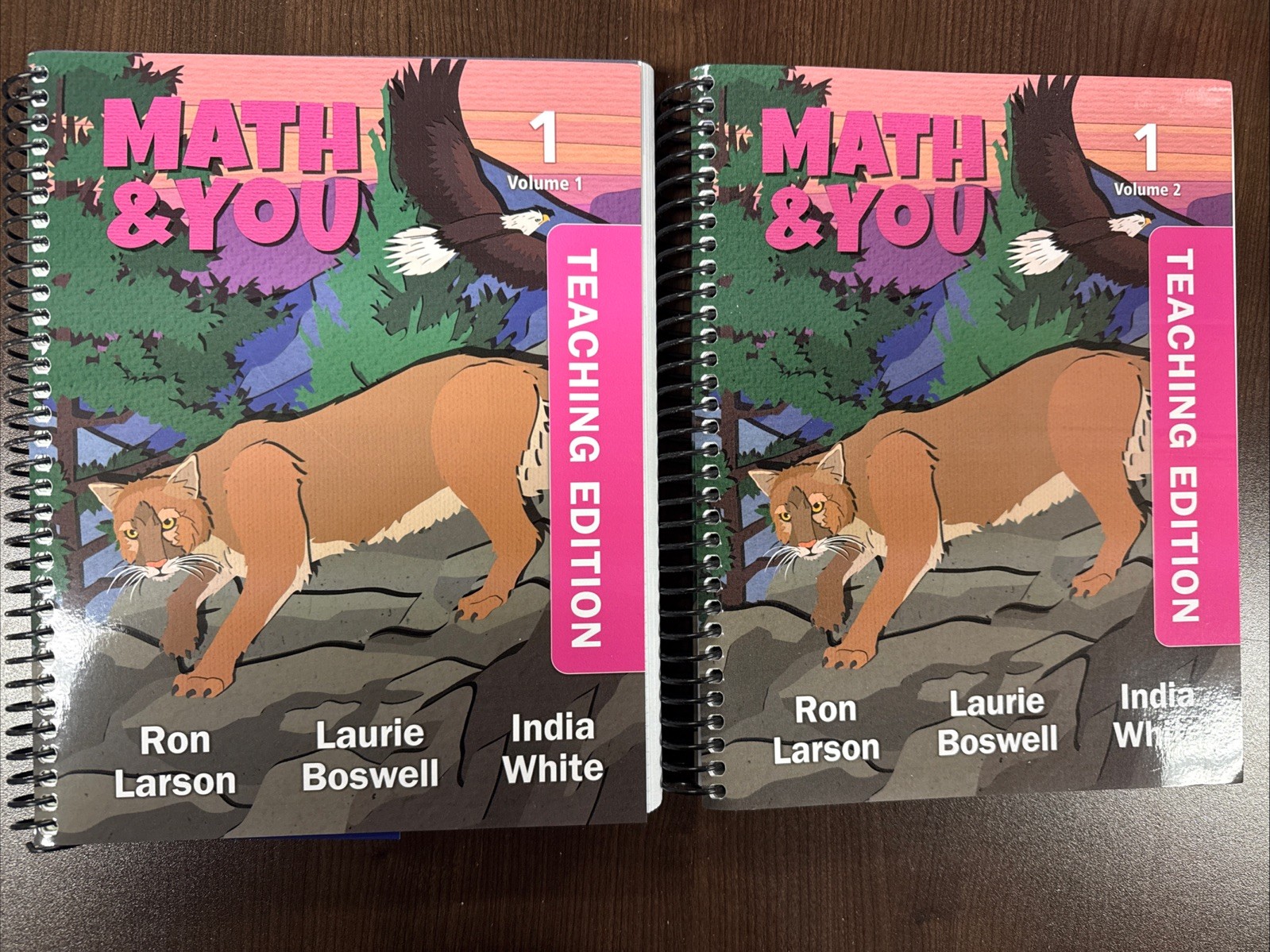 Math & You (Grade 1) Volumes 1 & 2 Teaching Edition) By Ron Larson 2024