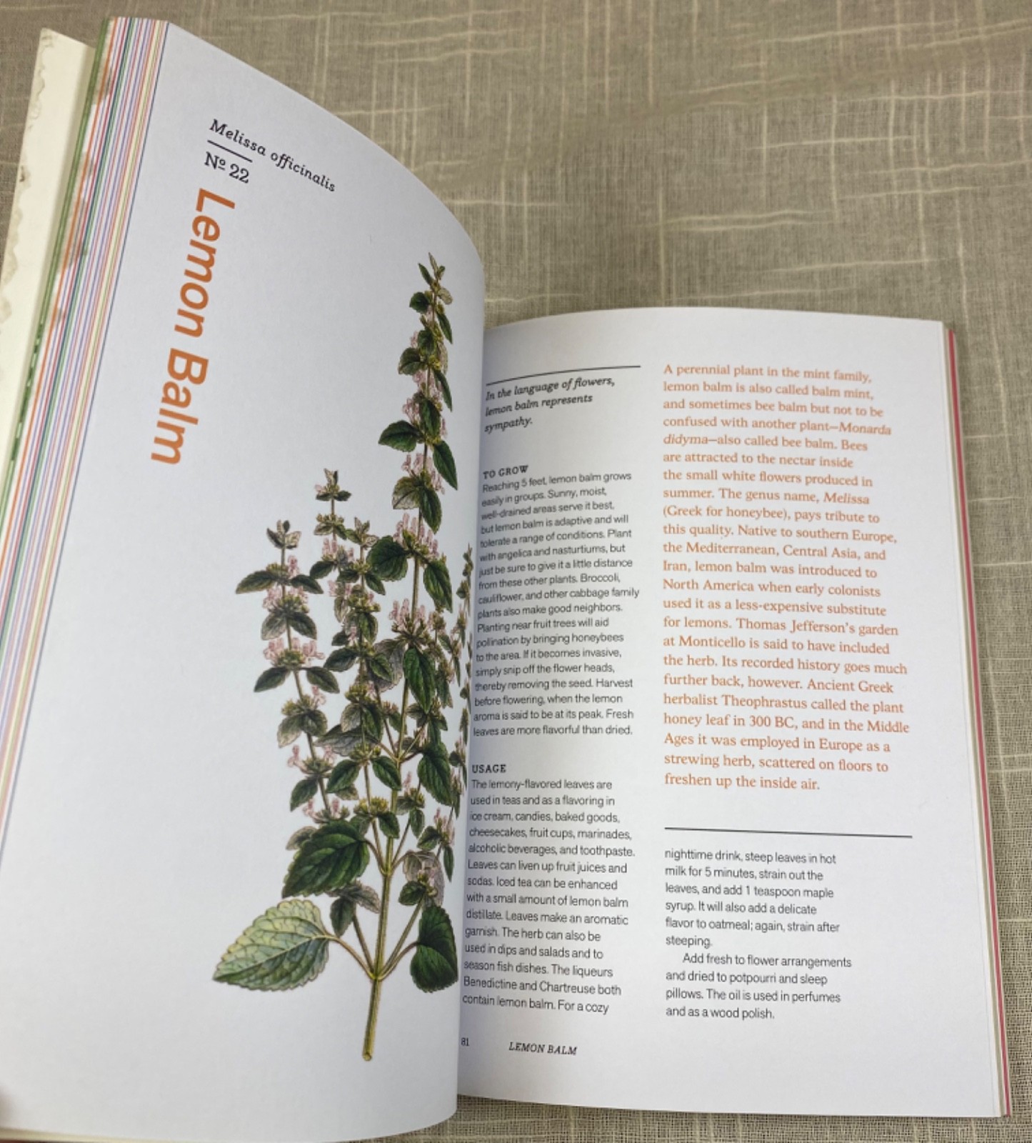 Herbal Handbook Cookbook Recipes Tinctures Teas Balms Botanical Garden Art
