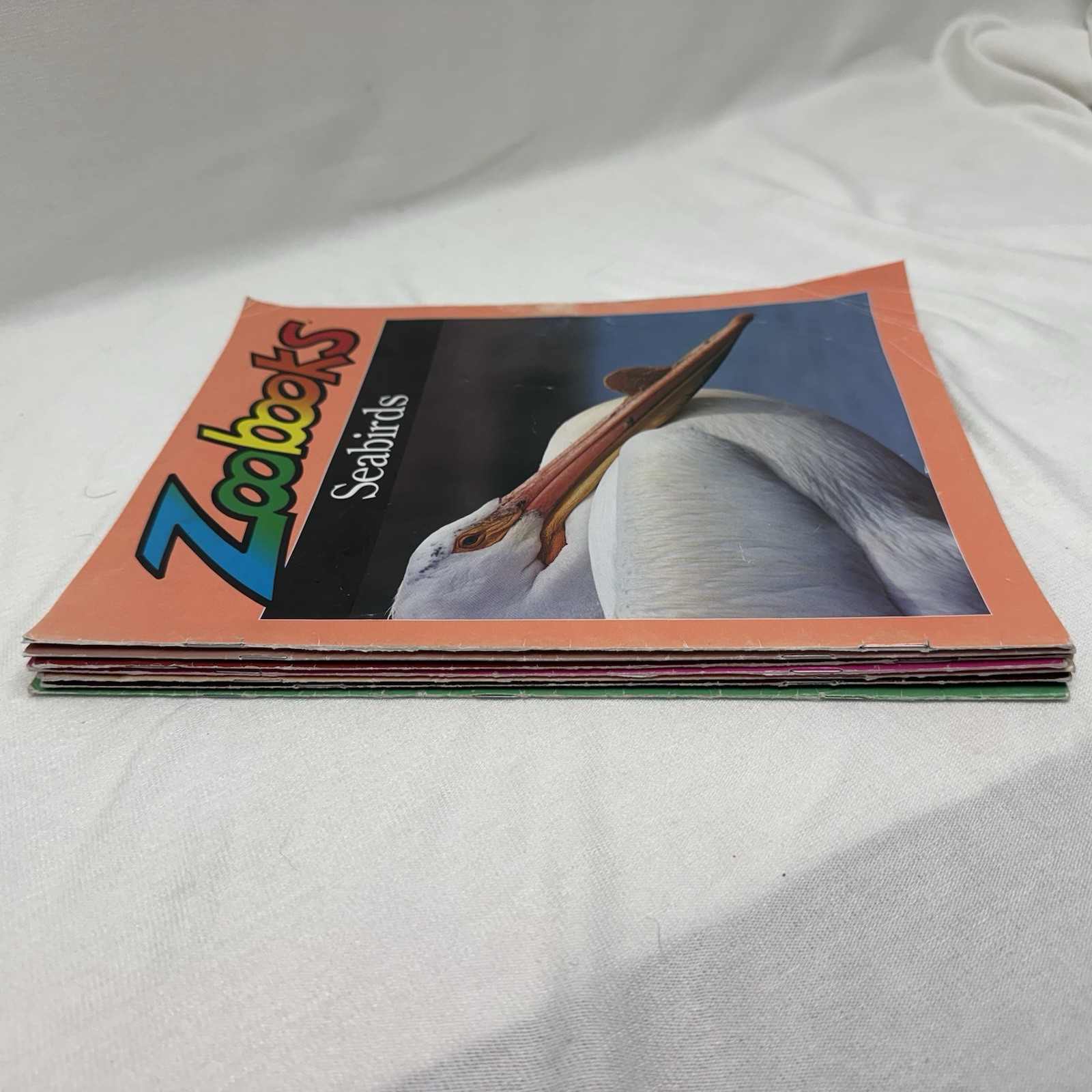 Vintage 1990’s ZooBooks (Lot of 7) Educational Kids Science Homeschool Magazines