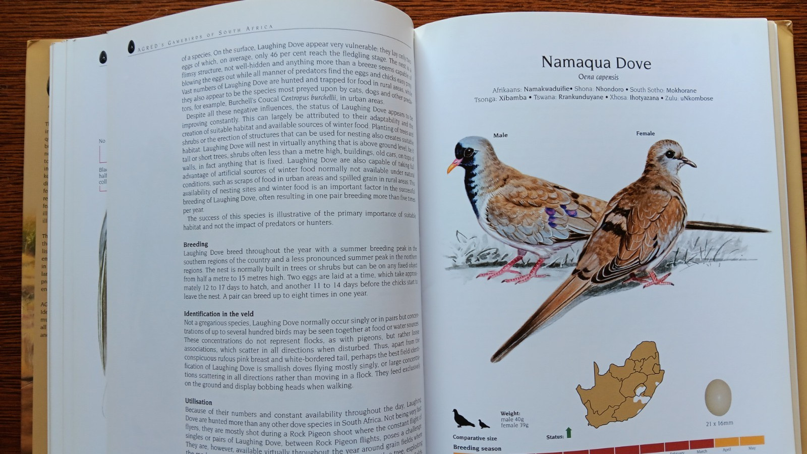 AGRED’s Gamebirds of South Africa : Field Identification and Management