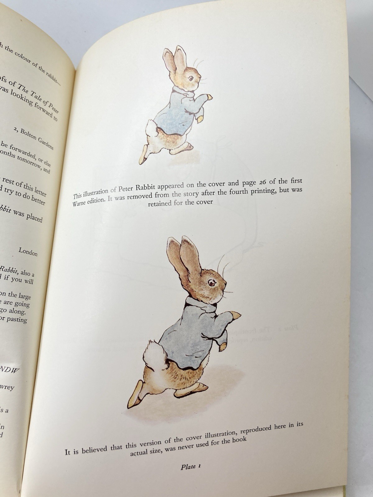 History of the Tale of Peter Rabbit Warne 1976 History Potter Private Printing