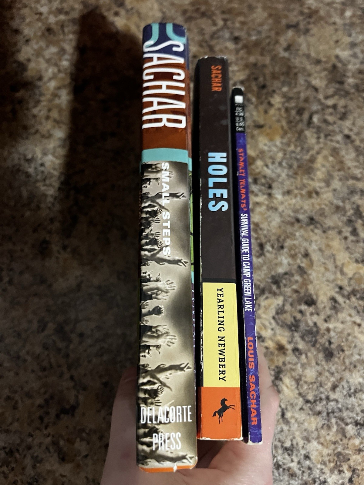 3 Book Lot Louis Sachar Holes Small Steps Stanley Yelnat’s Guide Camp